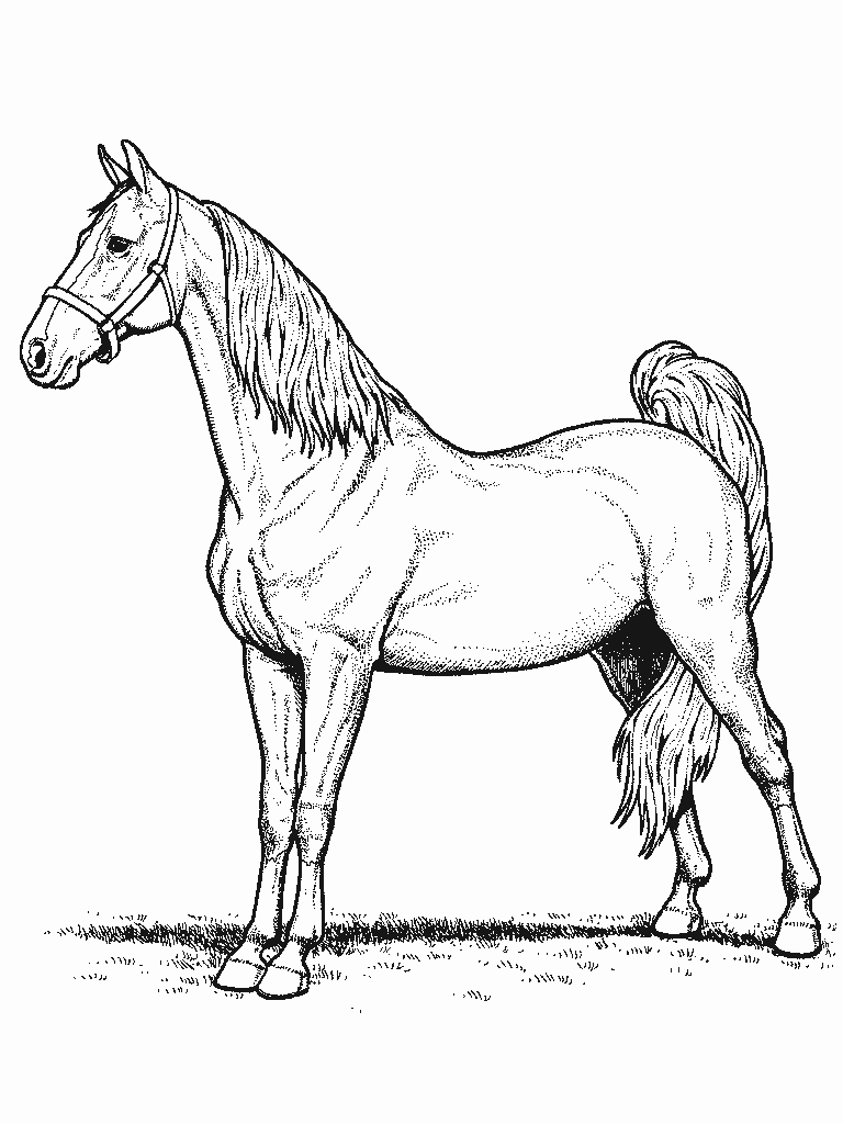 Раскраска: лошадь (Животные) #2184 - Бесплатные раскраски для печати