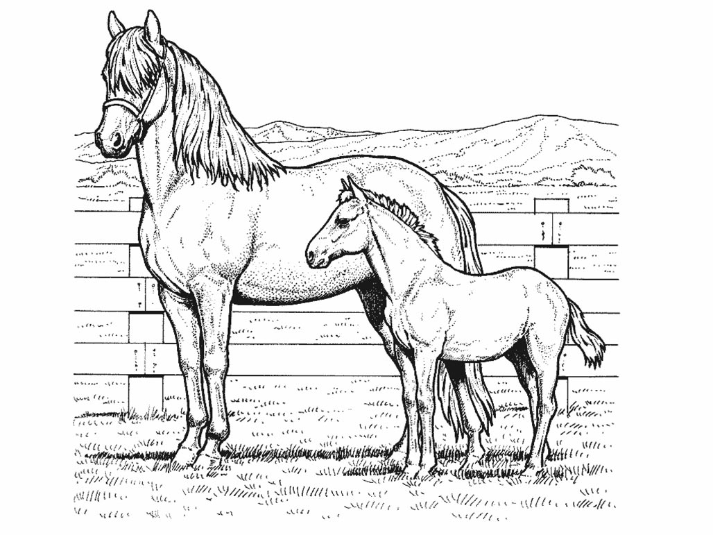 Раскраска: лошадь (Животные) #2185 - Бесплатные раскраски для печати