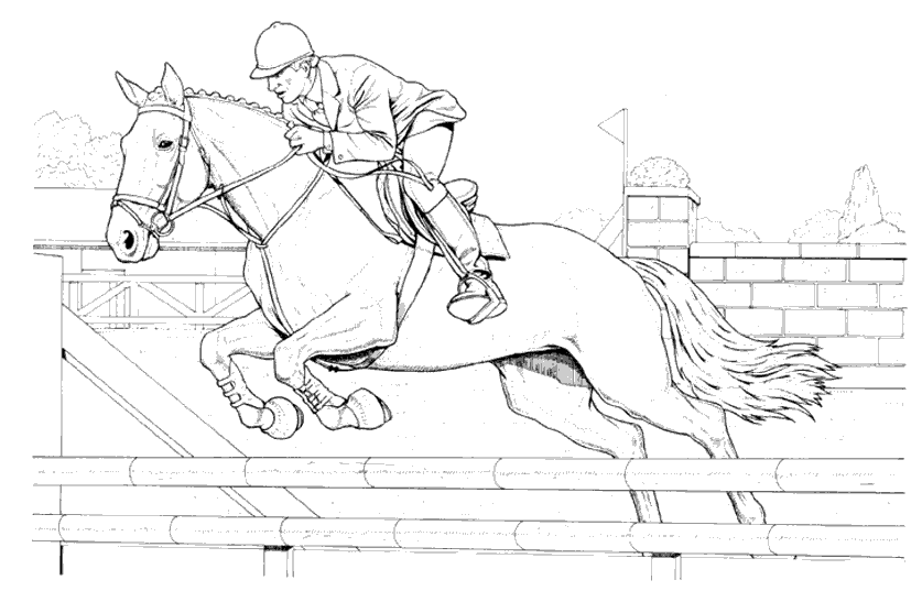 Раскраска: лошадь (Животные) #2191 - Бесплатные раскраски для печати