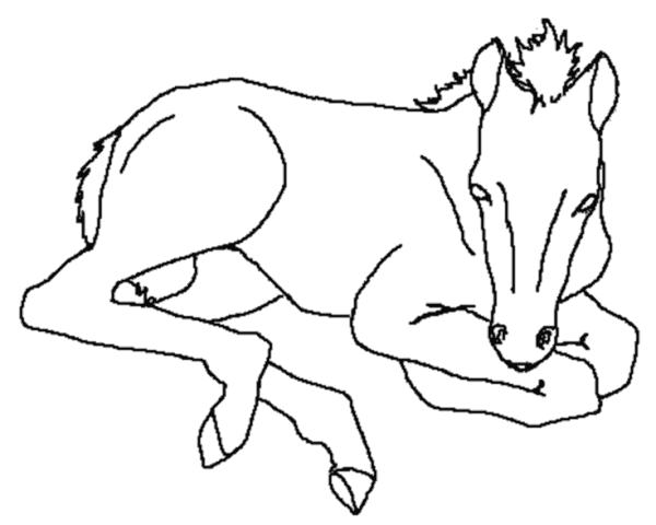 Раскраска: лошадь (Животные) #2193 - Бесплатные раскраски для печати