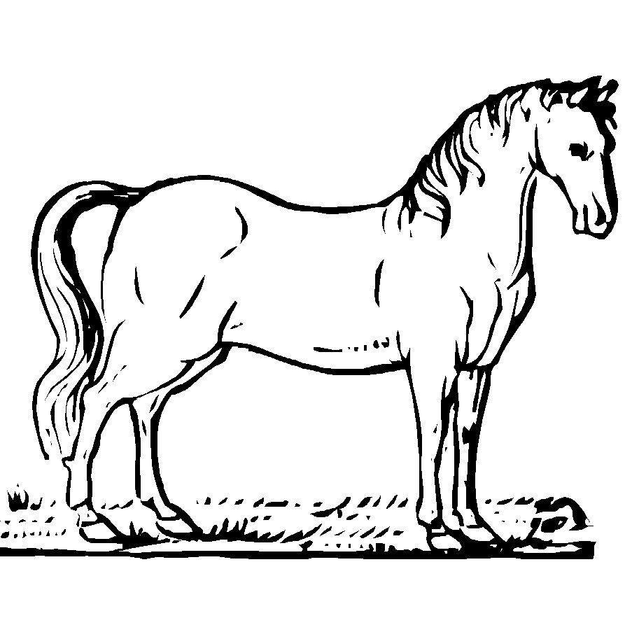 Раскраски животные лошади