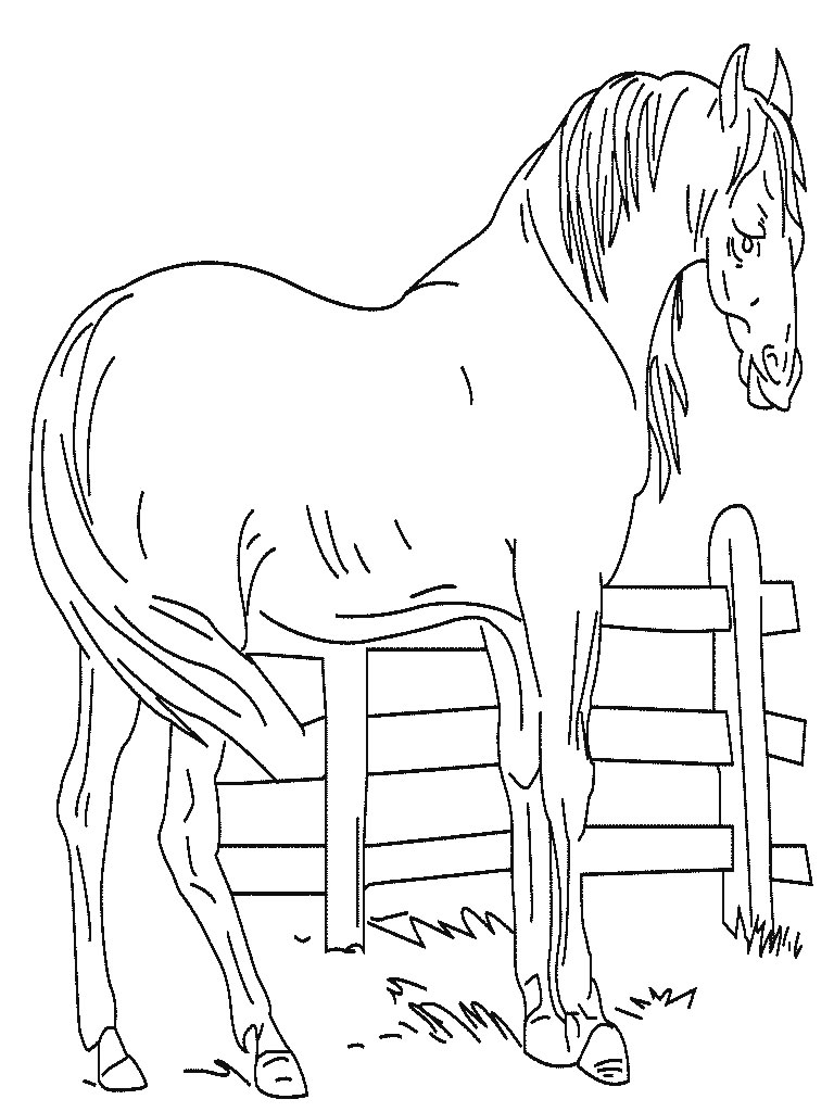 Раскраска: лошадь (Животные) #2207 - Бесплатные раскраски для печати