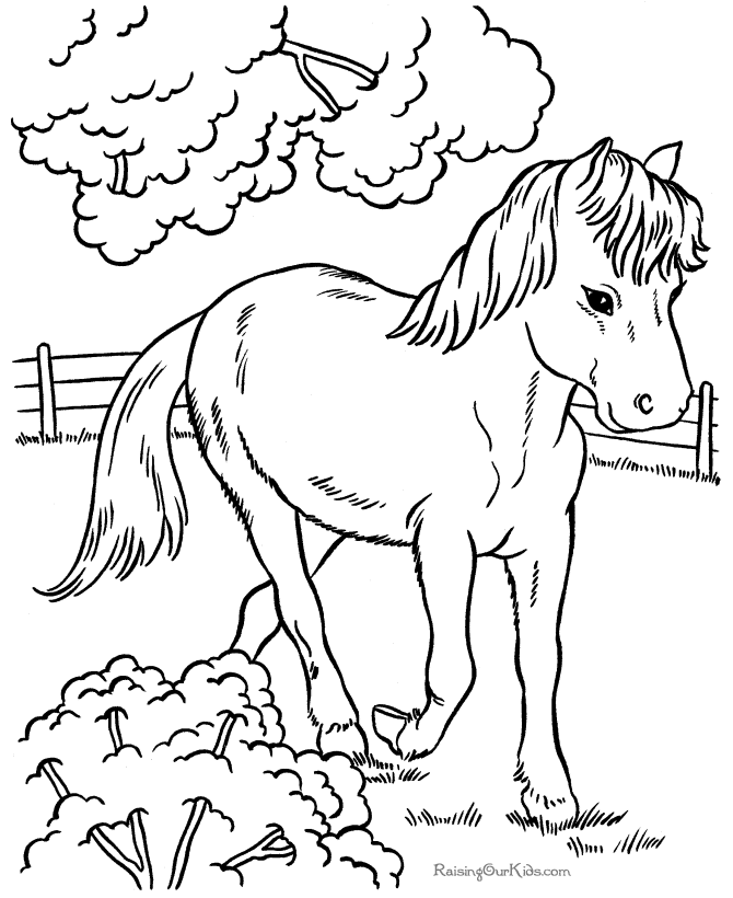 Раскраска: лошадь (Животные) #2212 - Бесплатные раскраски для печати