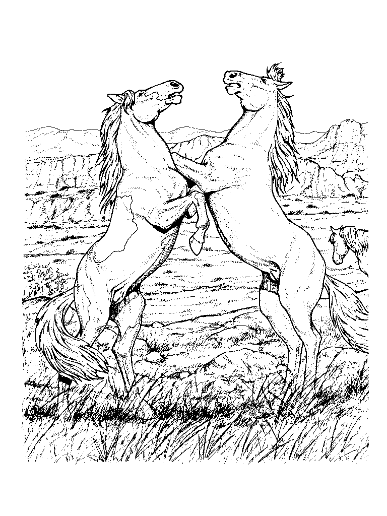 Раскраска: лошадь (Животные) #2214 - Бесплатные раскраски для печати
