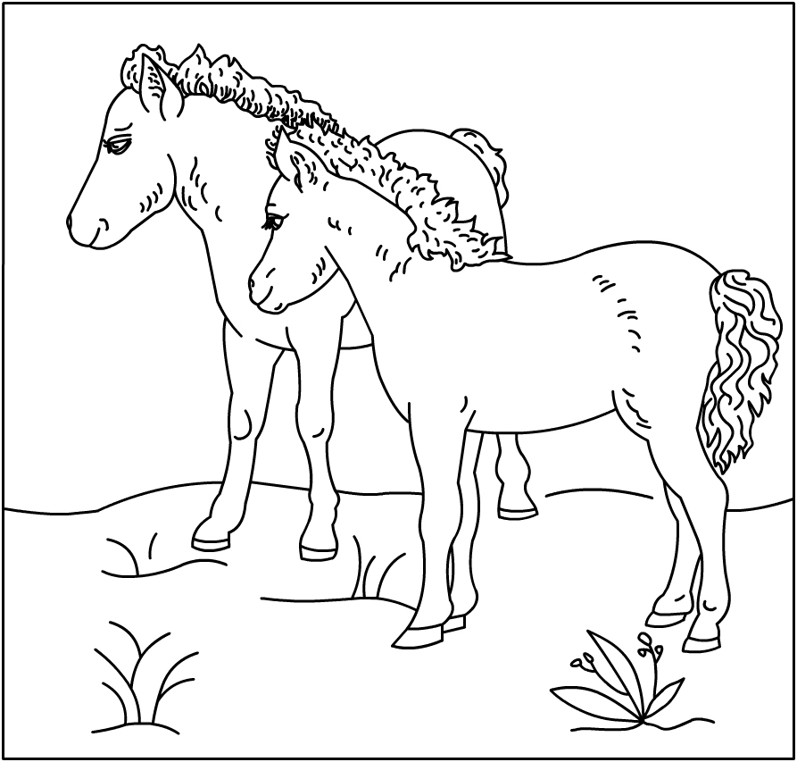 Раскраска: лошадь (Животные) #2238 - Бесплатные раскраски для печати