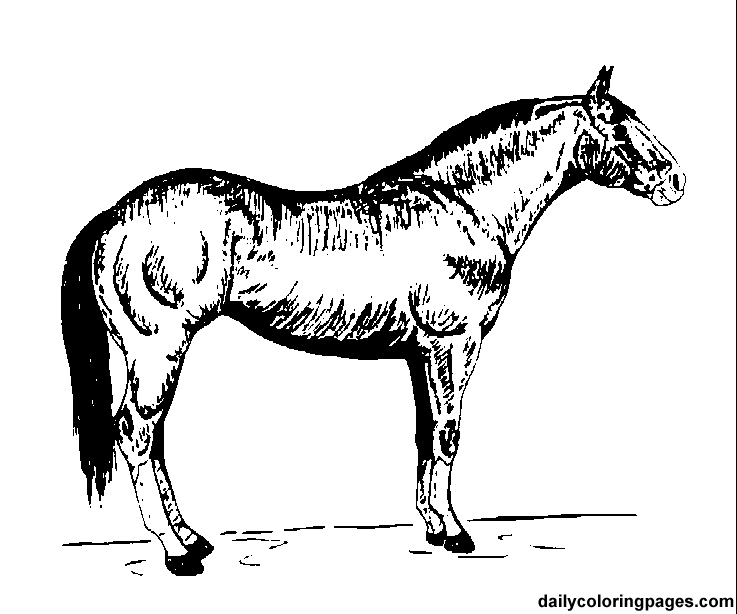 Раскраска: лошадь (Животные) #2243 - Бесплатные раскраски для печати