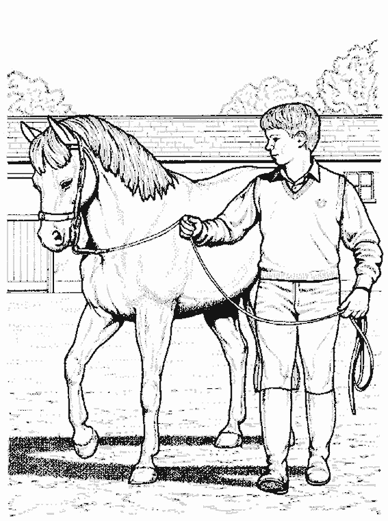 Раскраска: лошадь (Животные) #2264 - Бесплатные раскраски для печати
