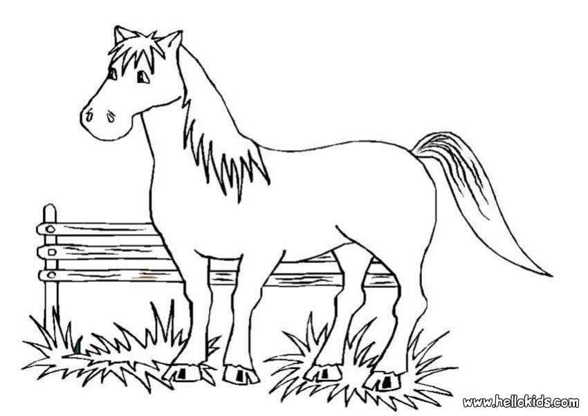 Раскраска: лошадь (Животные) #2269 - Бесплатные раскраски для печати