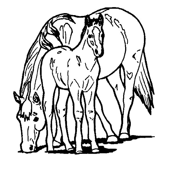 Раскраска: лошадь (Животные) #2275 - Бесплатные раскраски для печати