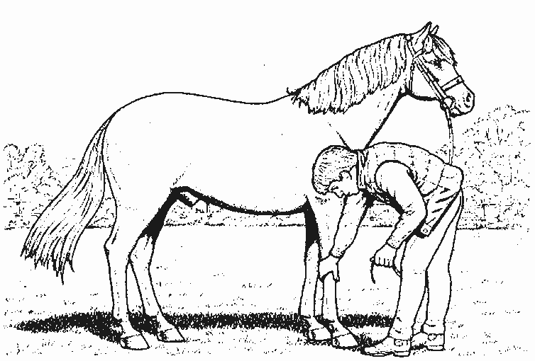 Раскраска: лошадь (Животные) #2287 - Бесплатные раскраски для печати