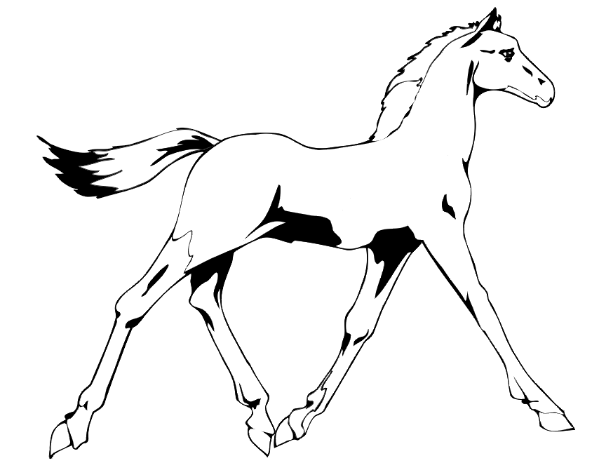 Раскраска: лошадь (Животные) #2297 - Бесплатные раскраски для печати
