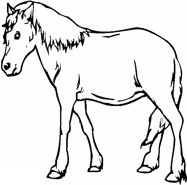 Раскраска: лошадь (Животные) #2299 - Бесплатные раскраски для печати