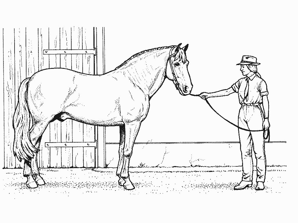 Раскраска: лошадь (Животные) #2308 - Бесплатные раскраски для печати