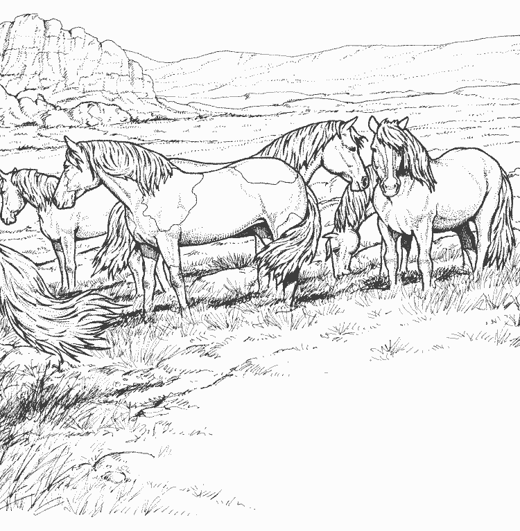Раскраска: лошадь (Животные) #2313 - Бесплатные раскраски для печати