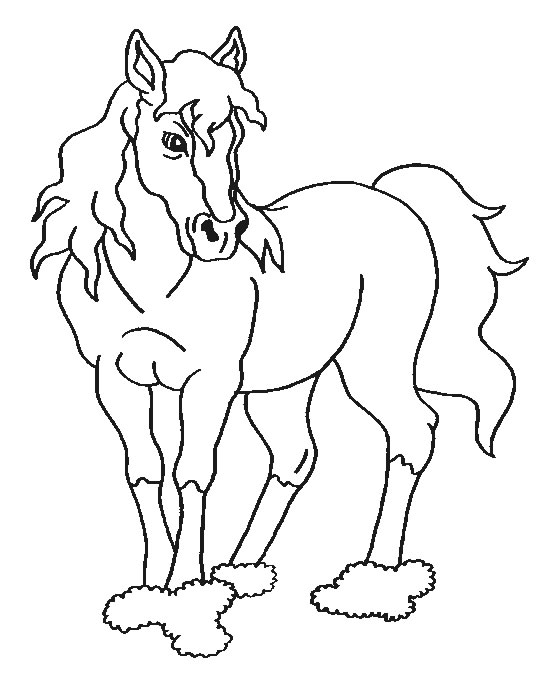 Раскраска: лошадь (Животные) #2318 - Бесплатные раскраски для печати