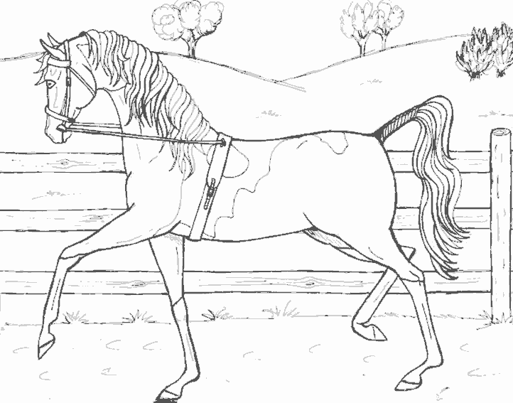 Раскраска: лошадь (Животные) #2334 - Бесплатные раскраски для печати