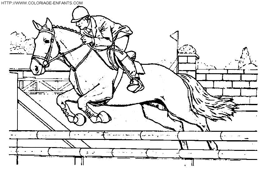 Раскраска: лошадь (Животные) #2341 - Бесплатные раскраски для печати