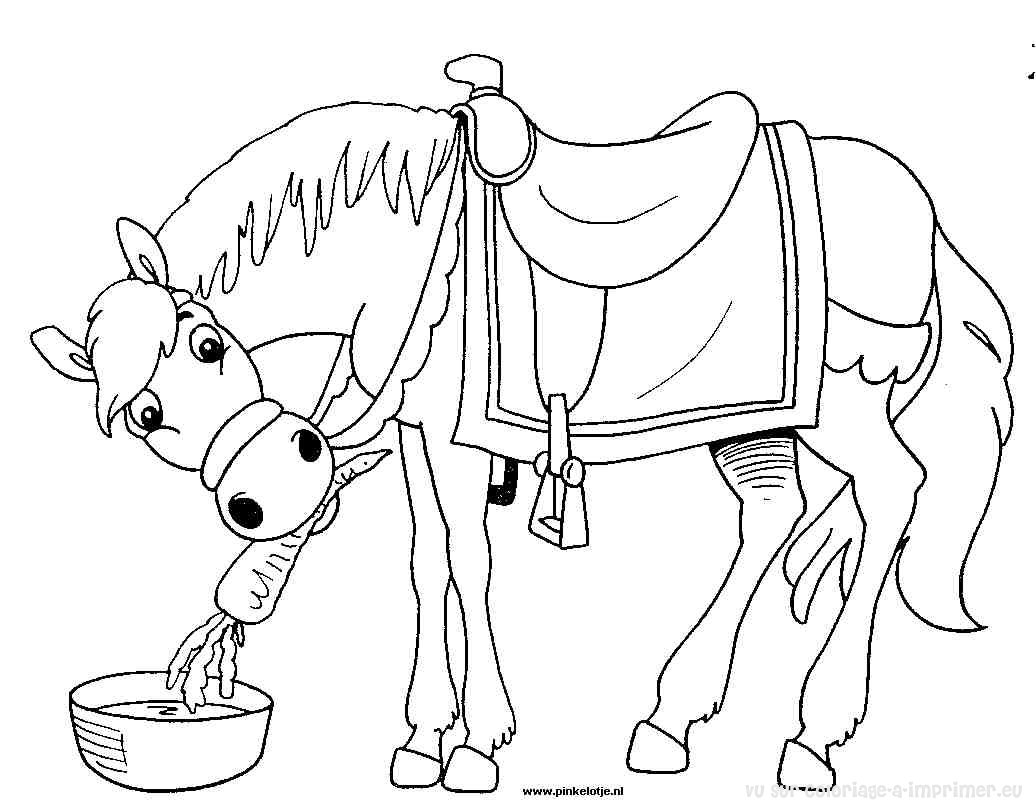 Раскраска: лошадь (Животные) #2347 - Бесплатные раскраски для печати