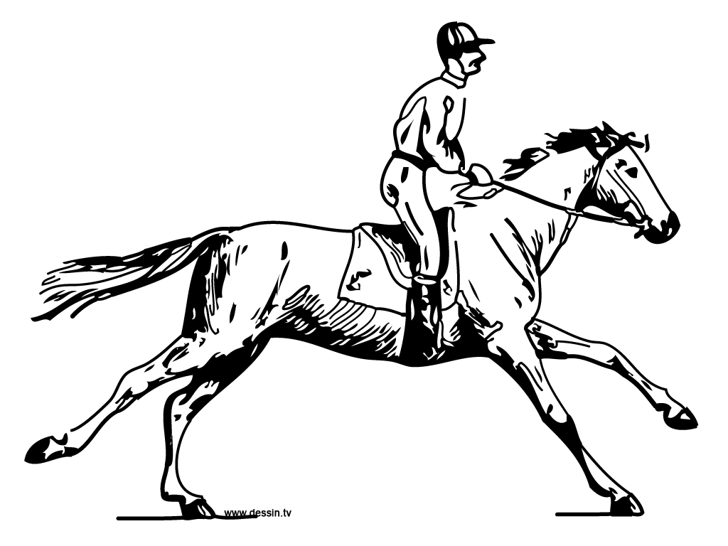 Раскраска: лошадь (Животные) #2360 - Бесплатные раскраски для печати