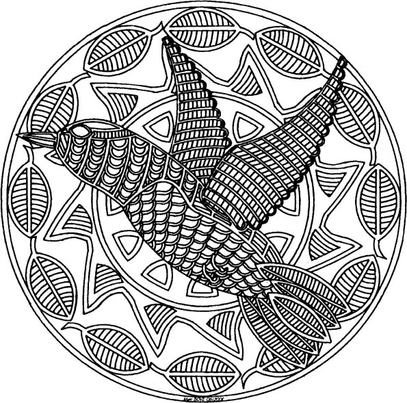 Раскраска: колибри (Животные) #3806 - Бесплатные раскраски для печати