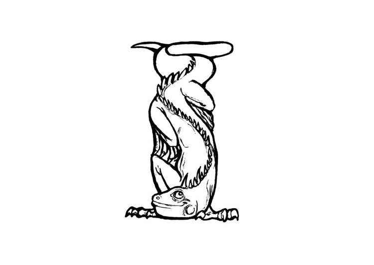 Раскраска: игуана (Животные) #8935 - Бесплатные раскраски для печати