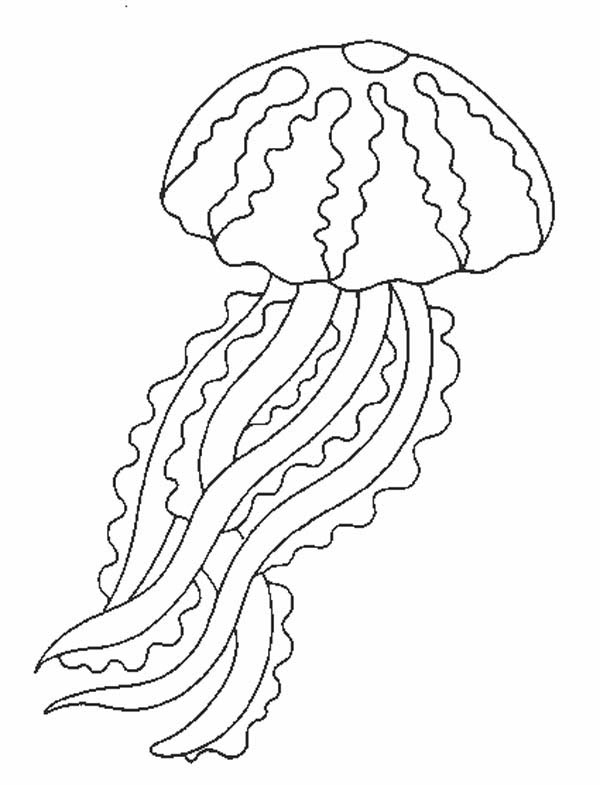 Раскраска: медуза (Животные) #20380 - Бесплатные раскраски для печати
