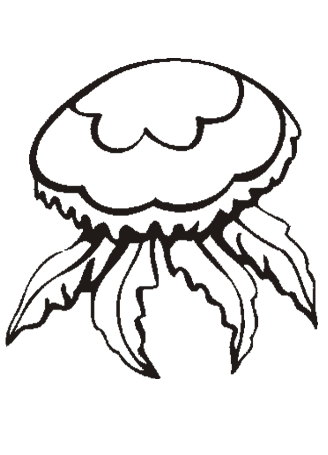 Раскраска: медуза (Животные) #20402 - Бесплатные раскраски для печати