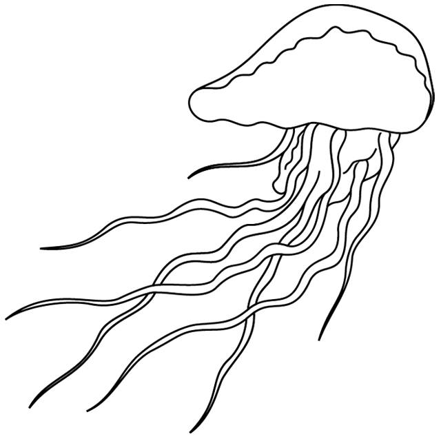 Раскраска: медуза (Животные) #20406 - Бесплатные раскраски для печати
