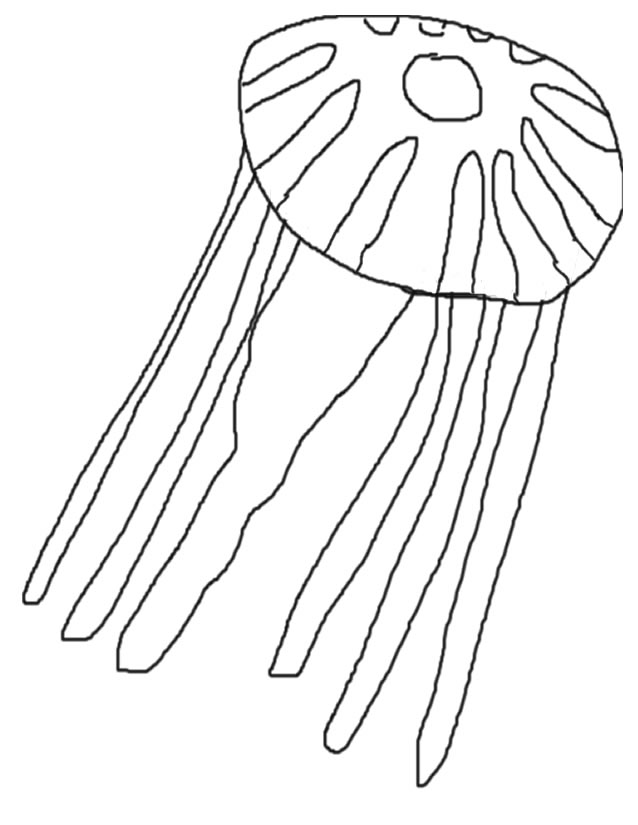 Раскраска: медуза (Животные) #20409 - Бесплатные раскраски для печати