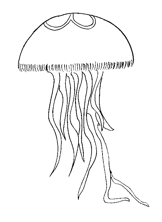 Раскраска: медуза (Животные) #20416 - Бесплатные раскраски для печати