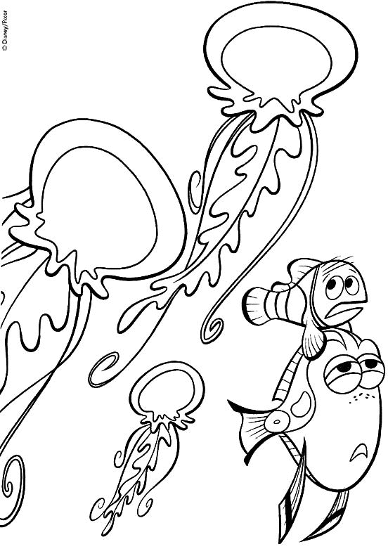 Раскраска: медуза (Животные) #20445 - Бесплатные раскраски для печати