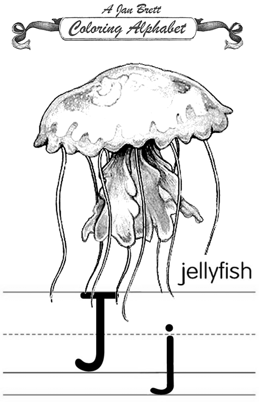 Раскраска: медуза (Животные) #20472 - Бесплатные раскраски для печати