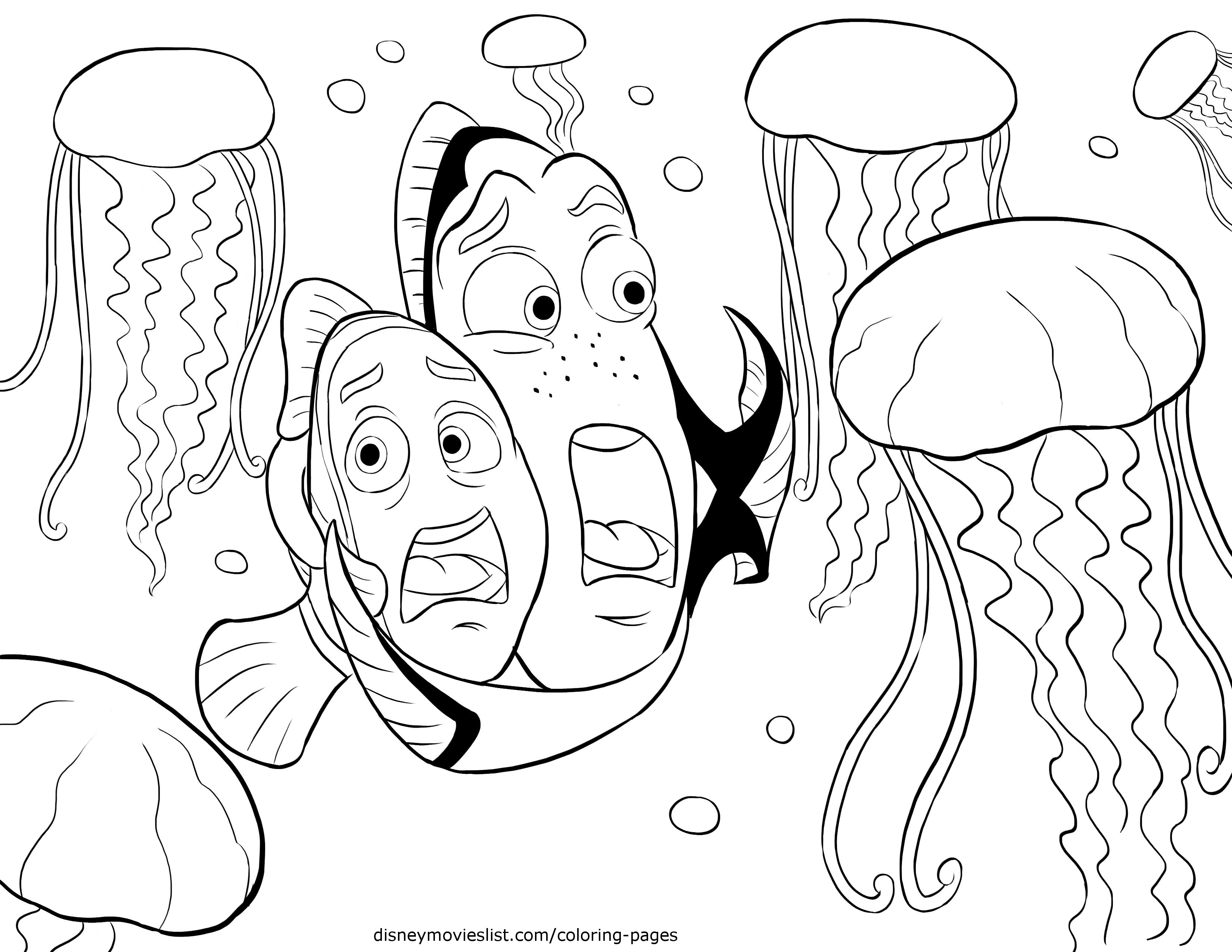 Раскраска: медуза (Животные) #20474 - Бесплатные раскраски для печати