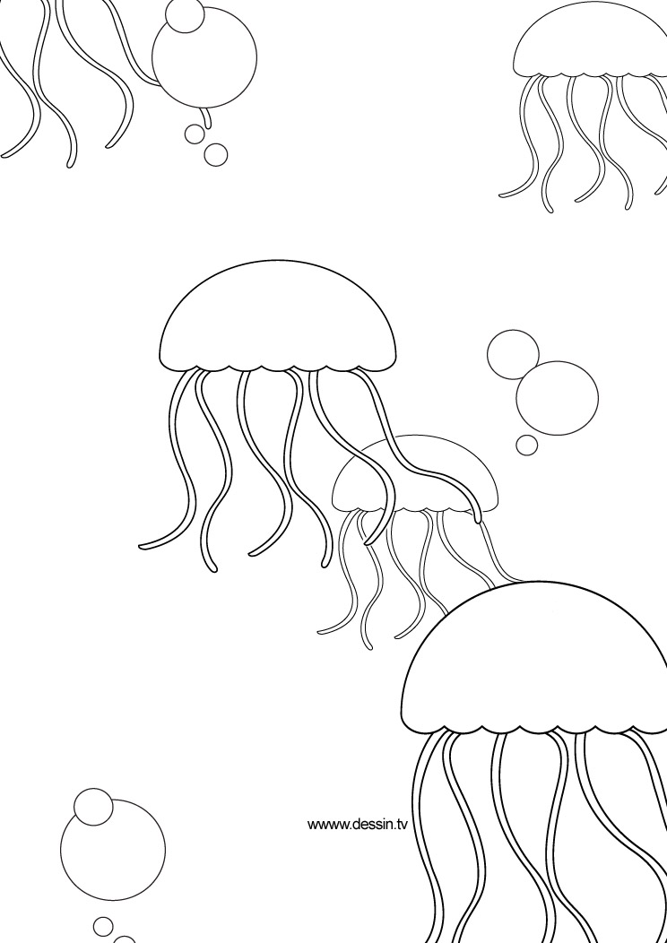 Раскраска: медуза (Животные) #20481 - Бесплатные раскраски для печати