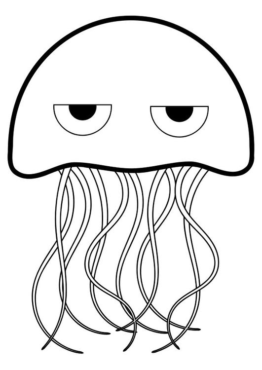 Раскраска: медуза (Животные) #20501 - Бесплатные раскраски для печати