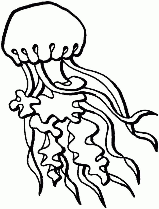 Раскраска: медуза (Животные) #20510 - Бесплатные раскраски для печати
