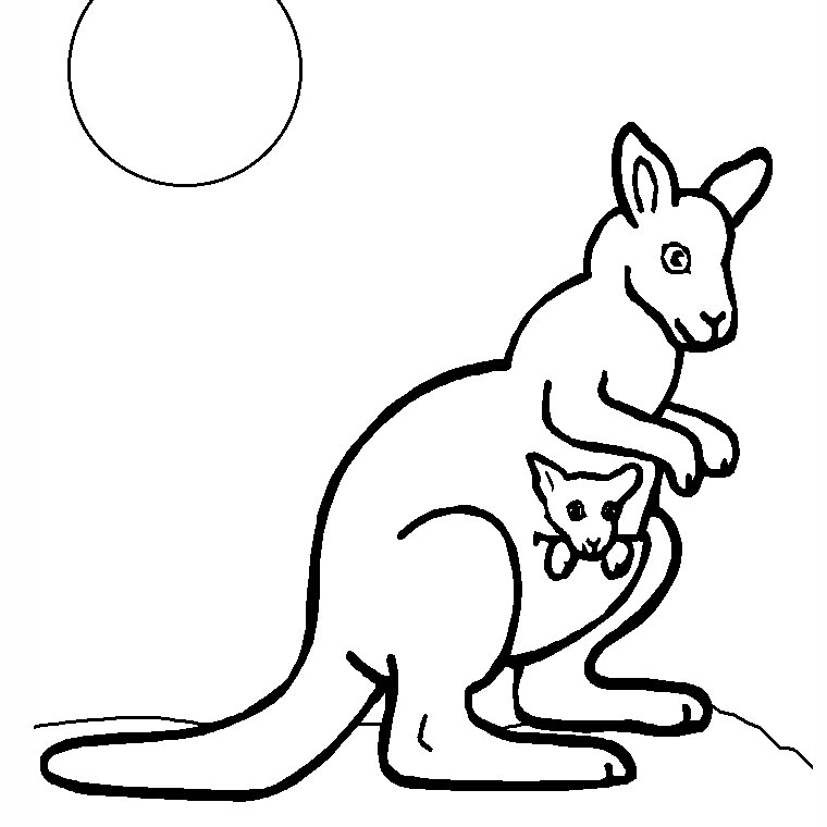 Раскраска: кенгуру (Животные) #9104 - Бесплатные раскраски для печати
