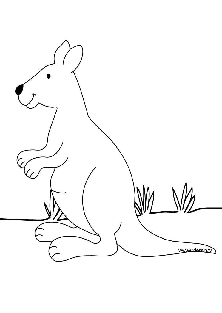 Раскраска: кенгуру (Животные) #9106 - Бесплатные раскраски для печати