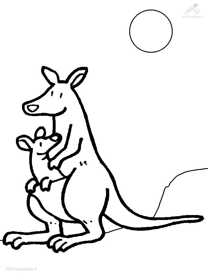 Раскраска: кенгуру (Животные) #9107 - Бесплатные раскраски для печати