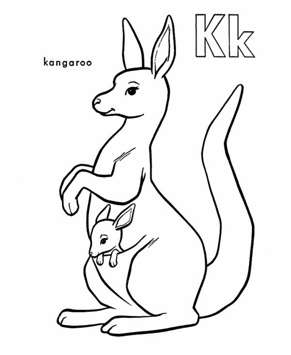 Раскраска: кенгуру (Животные) #9122 - Бесплатные раскраски для печати