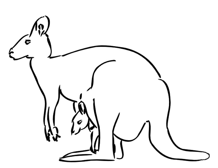Раскраска: кенгуру (Животные) #9130 - Бесплатные раскраски для печати