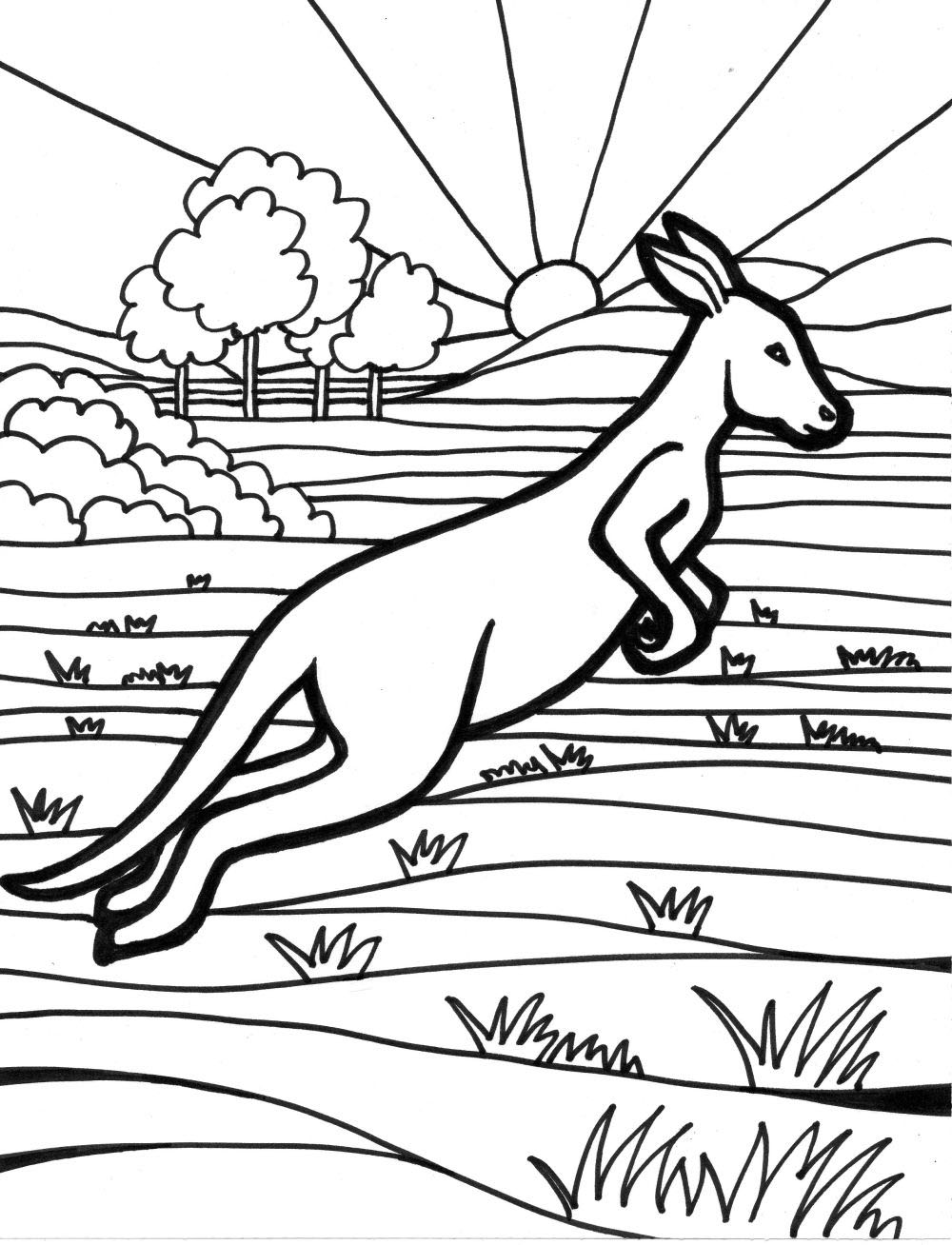 Раскраска: кенгуру (Животные) #9161 - Бесплатные раскраски для печати