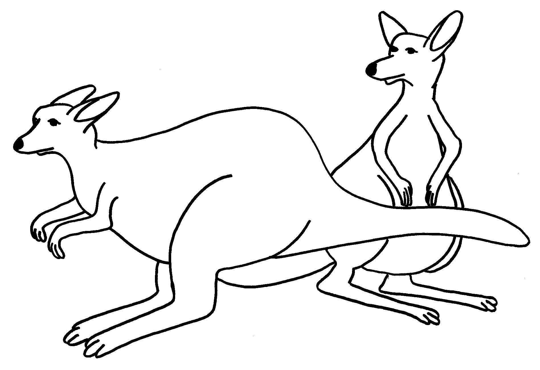 Раскраска: кенгуру (Животные) #9163 - Бесплатные раскраски для печати