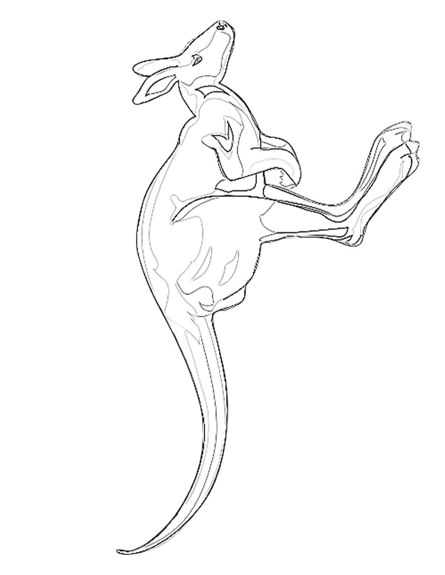 Раскраска: кенгуру (Животные) #9224 - Бесплатные раскраски для печати