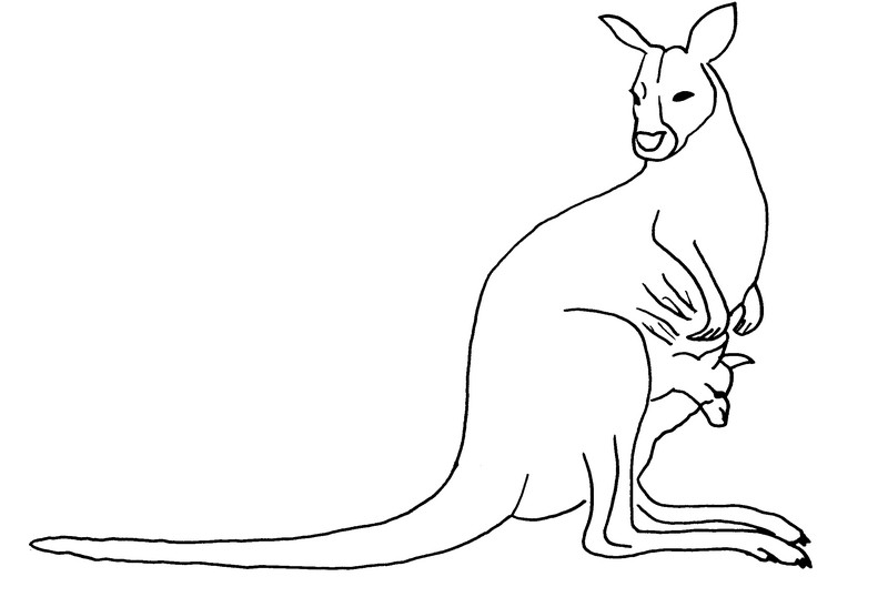 Раскраска: кенгуру (Животные) #9250 - Бесплатные раскраски для печати