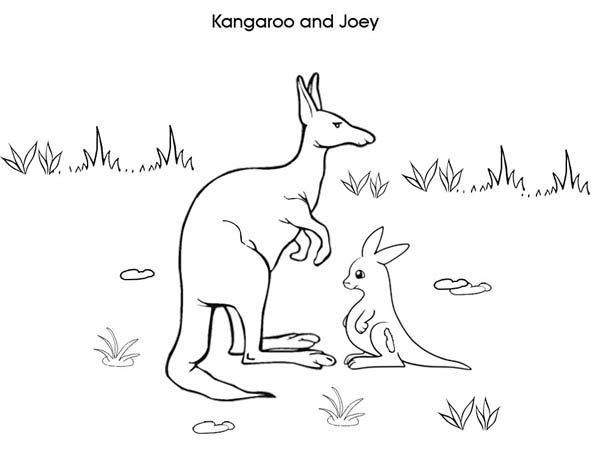 Раскраска: кенгуру (Животные) #9276 - Бесплатные раскраски для печати