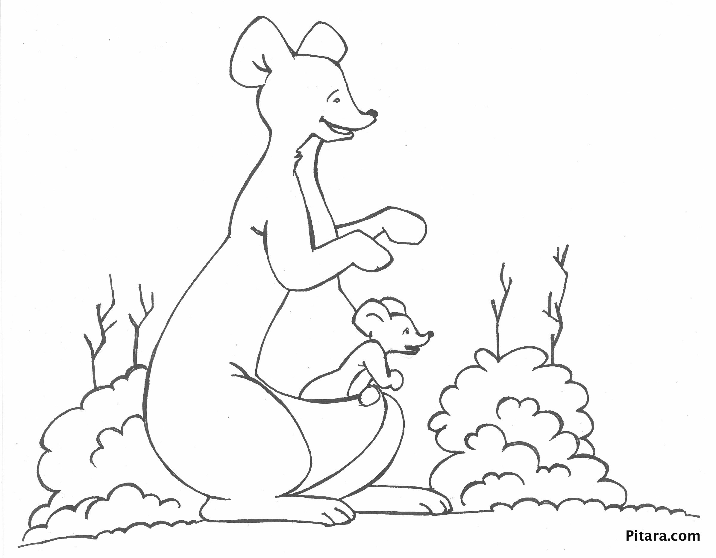 Раскраска: кенгуру (Животные) #9283 - Бесплатные раскраски для печати
