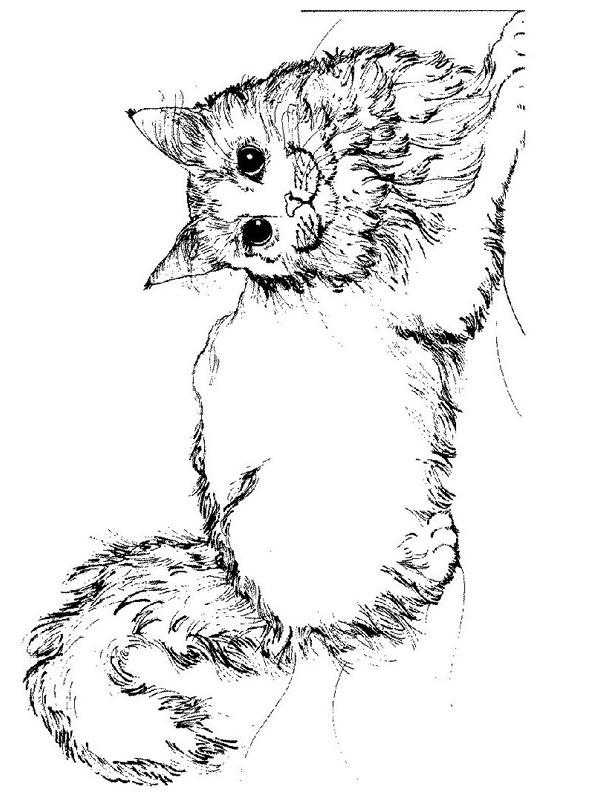 Раскраска: котенок (Животные) #18047 - Бесплатные раскраски для печати
