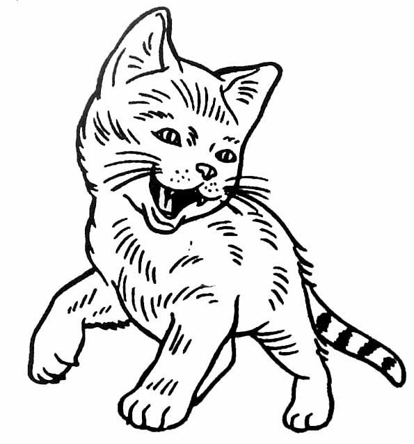 Раскраска: котенок (Животные) #18063 - Бесплатные раскраски для печати