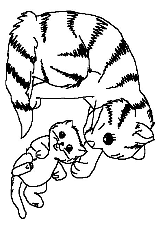 Раскраска: котенок (Животные) #18065 - Бесплатные раскраски для печати